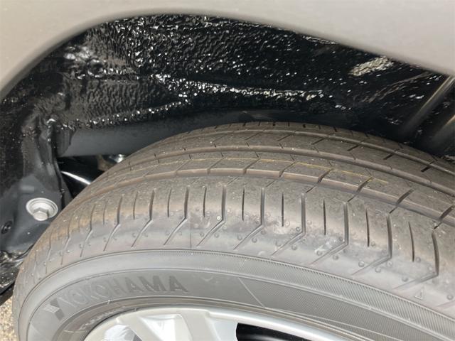 タフト Ｇ　届け出済み未使用車　バックカメラ　ＴＶ　クリアランスソナー　オートクルーズコントロール　衝突被害軽減システム　オートライト　ＬＥＤヘッドランプ　ヘッドライトウォッシャー　スマートキー（41枚目）