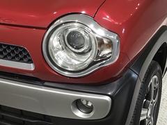 �ǥ������㡼���إåɥ饤����ܤǤ��ä������뤯�Ȥ餷�Ƥ����Τǡ�������Ԥ��Դ����ƻ�Ǥ�¿��Ǥ��� 7