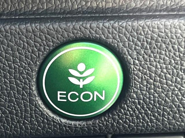 フィットハイブリッド Ｆパッケージ　純正ナビ　バックカメラ　スマートキー　ＥＴＣ　オートライト　オートエアコン　Ｂｌｕｅｔｏｏｔｈ　ＣＤ　ＤＶＤ再生（43枚目）