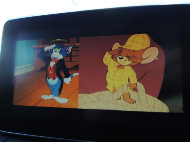 デミオ XDツーリング 禁煙車 買取車 セーフティパッケージ装着車 ブラインドスポットモニター 車線逸脱警報システム ナビ フルセグ バックカメラ CD DVD 社外アルミホイール ローダウン車高調 ドライブレコーダー前後(24枚目)