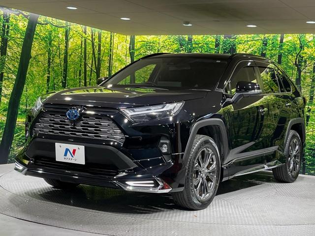 ＲＡＶ４ ハイブリッドＧ　４ＷＤ　１０．５インチ純正ディスプレイオーディオ　全周囲カメラ　衝突被害軽減システム　レーダークルーズコントロール　禁煙車　電動リアゲート　スマートキー　ＬＥＤヘッド　ＥＴＣ２．０　オートハイビーム（64枚目）