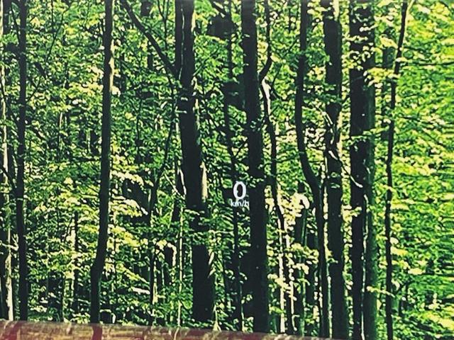 ＣＸ－６０ ＸＤ　Ｌパッケージ　黒革シート　１２．３型ナビ　全周囲カメラ　禁煙車　クルージングトラフィックサポート　ハンズフリー電動リアゲート　全席シートヒーター　前席パワーシート　ＡＣ１５０Ｗ　ワイヤレス充電　衝突軽減（65枚目）