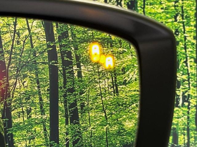 CX-5 XD エクスクルーシブモード BOSEサウンド メーカーナビ 全周囲カメラ 禁煙車 衝突軽減 電動リアゲート レザーシート シートベンチレーション レーダークルーズ ハンドルヒーター ブラインドスポットモニター ETC ドラレコ(63枚目)