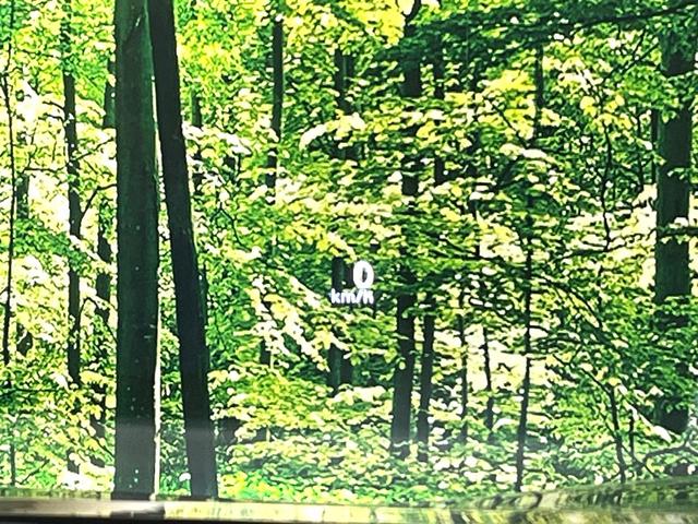 エクストレイル Ｇ　ｅ－４ＯＲＣＥ　４ＷＤ　全周囲カメラ　１００Ｖ電源　衝突被害軽減システム　禁煙車　電動リアゲート　レザーシート　全席シートヒーター　コーナーセンサー　スマートキー　ＬＥＤヘッド　ＥＴＣ２．０　純正１９インチアルミ（25枚目）