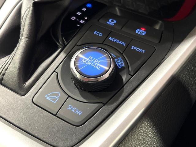 RAV4 アドベンチャー オフロードパッケージ 純正9型ナビ付ディスプレイオーディオ バックカメラ 衝突軽減システム 禁煙車 シートベンチレーション ステアリングヒーター パワーシート レーダークルーズ ETC ドライブレコーダー LEDヘッド(39枚目)