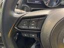 １５Ｓプロアクティブ　純正ＳＤナビ　スマートシティブレーキサポート　禁煙車　ドライブレコーダー　シートヒーター　コーナーセンサー　スマートキー　ＬＥＤヘッド　ＥＴＣ　オートライト　オートエアコン　Ｂｌｕｅｔｏｏｔｈ（35枚目）
