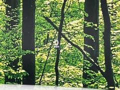 ڥإåɥåץǥץ쥤۸ߤ®٤ԾǥɽǱžΥ饹ơž桢򤺤餵ɬפʾǧǤΤǤȤäƤǰ¿ 6