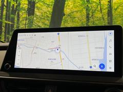 ڣ磻ɥʥӡ۹鴶ȥѥȤΤ緿磻ɥʥӤƼ索ǥϤ󡢲Ĺ磻ɲ̤ǤΥޥåףʬɽʤɡ⤤ʥӤǤ 3