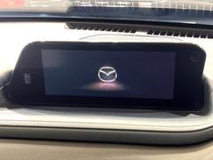 �ڥޥĥ����ͥ��ȥʥӡۼ����ʷ�ϵ��˥ޥå��������η������פΥʥӡ��Ƽ���������£�������������������͡��ʵ�ǽ���ڤ���ޤ���ľ��Ū�ʥ����������ǽ�ǡ��Ȥ�������ɹ��Ǥ��� 3