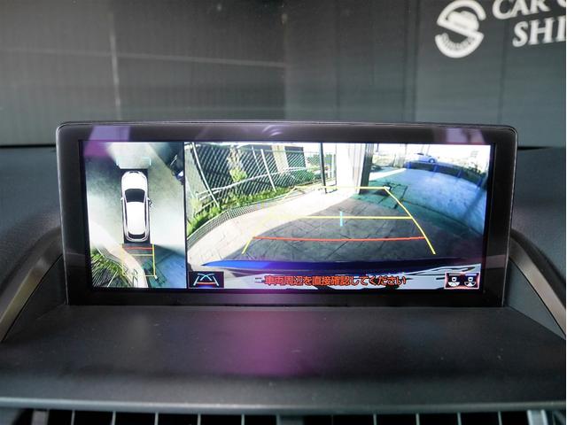 NX300 Fスポーツ 地デジ サンルーフ 本革シート(7枚目)