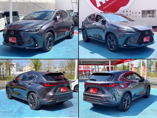 LEXUS NX NX250 VERSION L Best Japan Spec Recon Car for Import Malaysia