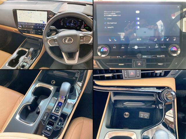 LEXUS NX NX250 VERSION L Best Japan Spec Recon Car for Import Malaysia