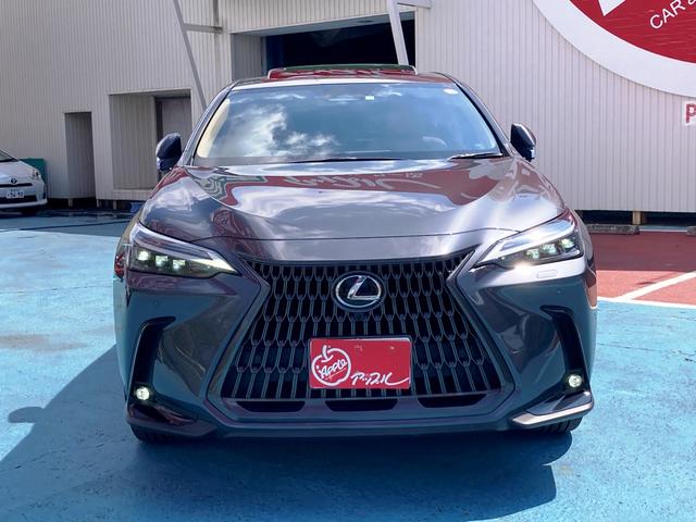 LEXUS NX NX250 VERSION L Best Japan Spec Recon Car for Import Malaysia