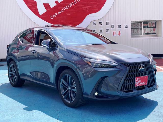 LEXUS NX NX250 VERSION L Best Japan Spec Recon Car for Import Malaysia