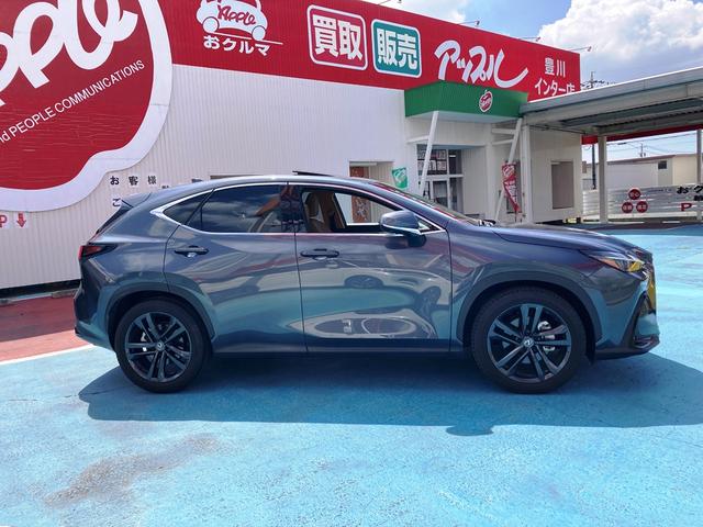 LEXUS NX NX250 VERSION L Best Japan Spec Recon Car for Import Malaysia