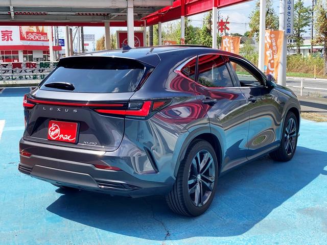 LEXUS NX NX250 VERSION L Best Japan Spec Recon Car for Import Malaysia