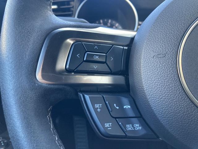 マスタング シェルビーGT350(16枚目)