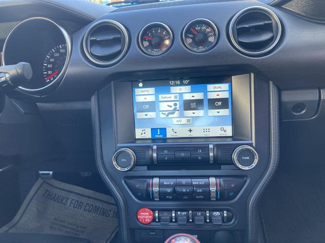 マスタング シェルビーGT350(25枚目)