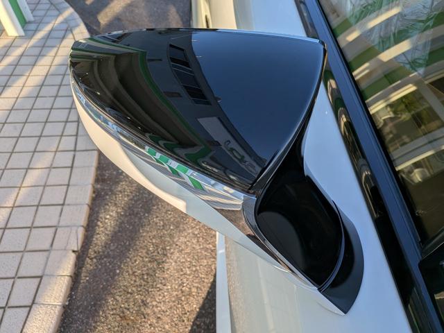 ＬＣ ＬＣ５００　Ｓパッケージ（8枚目）