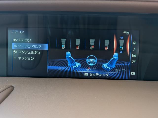 ＬＣ ＬＣ５００　Ｓパッケージ（44枚目）