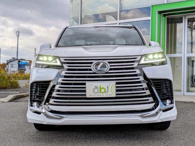 迫力のあるフロントマスク