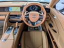 ＬＣ５００　コンバーチブル　オーカーインテリア／サンドベージュルーフ　ＯＰ鍛造２１インチ　ＴＲＤミラーカバー　イルミネーションスカッフＰ　レクサスロゴカーテシランプ　ベンチレーション＆シートヒーター　ドラレコ　ＧＰＳレーダー（46枚目）