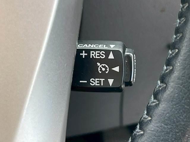 TOYOTA PRIUS ALPHA G