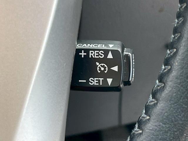 TOYOTA PRIUS ALPHA G