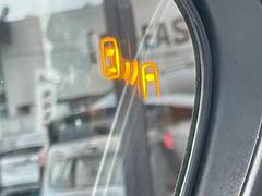 ڥ֥饤ɥݥåȥ˥ܤƤޤ٤μξ졼ǸΤѥꥢμξ¸ߤΤ餻ޤ 6