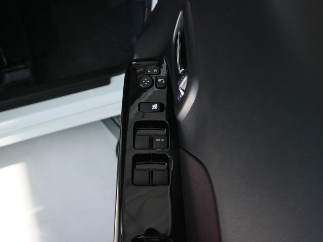 スティングレー HYBRID T(10枚目)