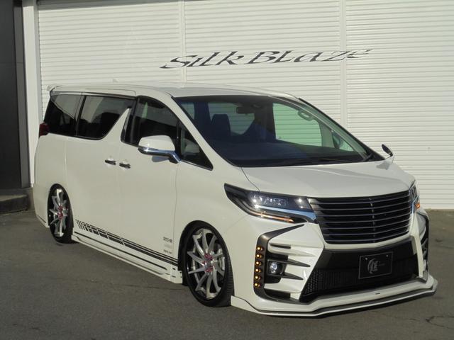 2.5S シルクブレイズGLANZEN鎧コンプリート ナビ(5枚目)