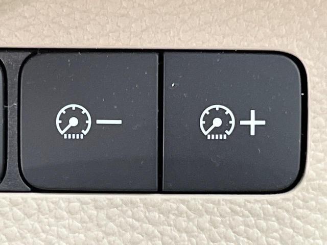 N-BOX G・Lホンダセンシング 電動スライドドア SDナビ バックカメラ 衝突被害軽減システム レーダークルーズ 禁煙車 スマートキー LEDヘッド ビルトインETC オートライト オートエアコン 盗難防止装置 プライバシーガラス(41枚目)