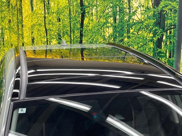 RAV4 アドベンチャー 4WD 純正ナビ サンルーフ バックカメラ 衝突被害軽減システム レーダークルーズ 禁煙車 前席シートエアコン パワーシート ドラレコ コーナーセンサー スマートキー LEDヘッド ETC2.0(30枚目)