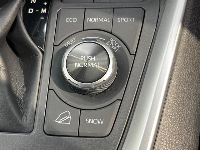 RAV4 アドベンチャー 4WD 純正ナビ サンルーフ バックカメラ 衝突被害軽減システム レーダークルーズ 禁煙車 前席シートエアコン パワーシート ドラレコ コーナーセンサー スマートキー LEDヘッド ETC2.0(72枚目)