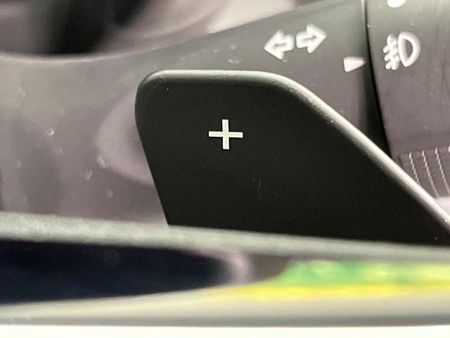 スペーシアカスタム ハイブリッドXSターボ 9型ナビ 両側電動ドア 全周囲カメラ 衝突被害軽減システム レーダークルーズ 禁煙車 ハーフレザーシート コーナーセンサー スマートキー LEDヘッド ビルトインETC オートハイビーム 車線逸脱警報(59枚目)