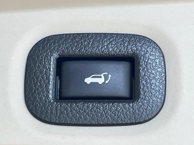 エクストレイル 20XtブラックエクストリーマXエマジェンシブレキP 純正ナビ 4WD 全周囲カメラ 衝突被害軽減システム 禁煙車 ハーフレザーシート ドラレコ コーナーセンサー スマートキー LEDヘッド ETC クルコン 純正17インチアルミ 車線逸脱警報(38枚目)