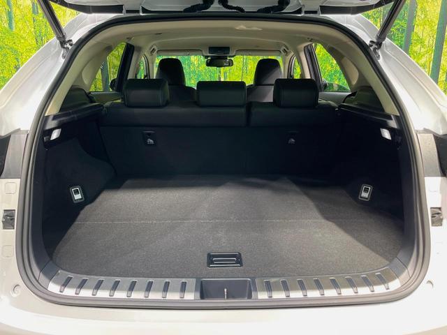 ＮＸ ＮＸ３００ｈ　バージョンＬ　純正１０型ナビ全周囲カメラ　プリクラッシュセーフティ　レーダークルーズ　禁煙車　パワーバックドア　レザーシート　シートヒーター　シートエアコン　コーナーセンサー　スマートキー　ＬＥＤヘッド　ＥＴＣ（47枚目）