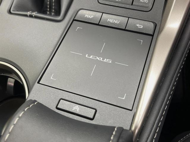 ＮＸ ＮＸ３００ｈ　バージョンＬ　純正１０型ナビ全周囲カメラ　プリクラッシュセーフティ　レーダークルーズ　禁煙車　パワーバックドア　レザーシート　シートヒーター　シートエアコン　コーナーセンサー　スマートキー　ＬＥＤヘッド　ＥＴＣ（52枚目）