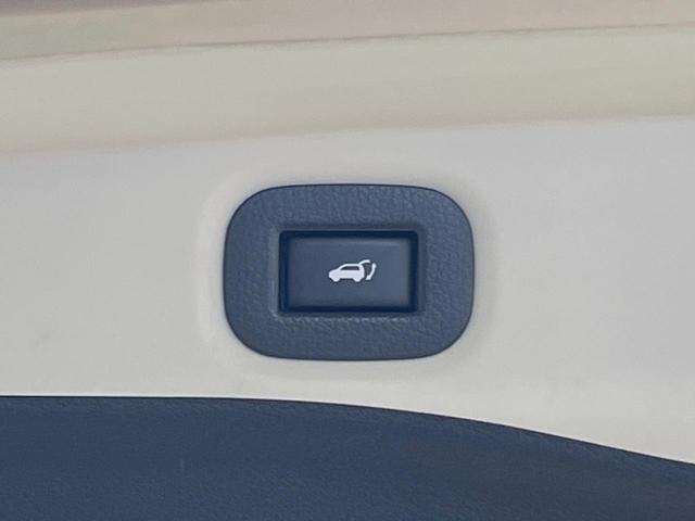 エクストレイル 20Xt エマージェンシーブレーキパッケージ 純正ナビ 全周囲カメラ 衝突被害軽減システム 禁煙車 電動リアゲート ハーフレザーシート コーナーセンサー スマートキー LEDヘッド ETC クルコン 純正17インチアルミ 車線逸脱警報(6枚目)