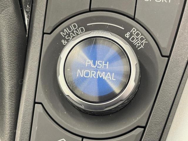 RAV4 アドベンチャー オフロードパッケージ 4WD 9型ディスプレイオーディオ バックカメラ 衝突被害軽減システム レーダークルーズ 禁煙車 ハーフレザーシート 前席シートエアコン パワーシート コーナーセンサー LEDヘッド ETC(48枚目)