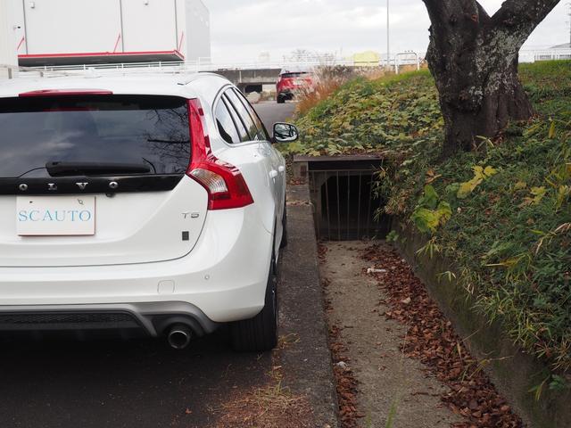 �o�b�N�J�����@���A�\�i�[�t���@�C���e���I�v�V�����Q�U���~�t�����@����͗~���������ł��I