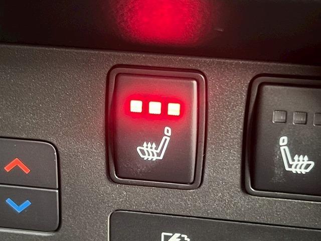 エクストレイル G e-4ORCE 1オーナー/プロパイロット/全周囲/ベージュレザーシート/パワーシート/シートヒーター/ステアリングヒーター/電動リアゲート/AC100V/シートメモリ/USB端子/デジタルミラー/ブラインドスポット(68枚目)