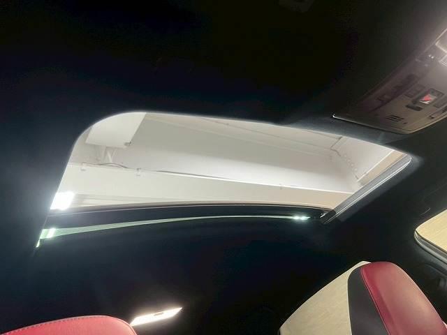 LEXUS NX NX300H F SPORT