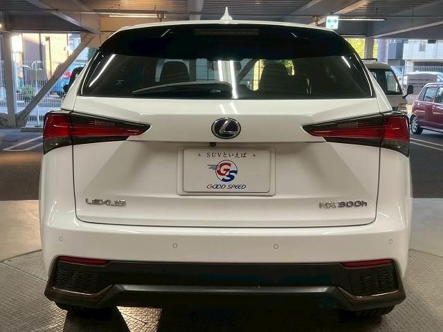 LEXUS NX NX300H F SPORT