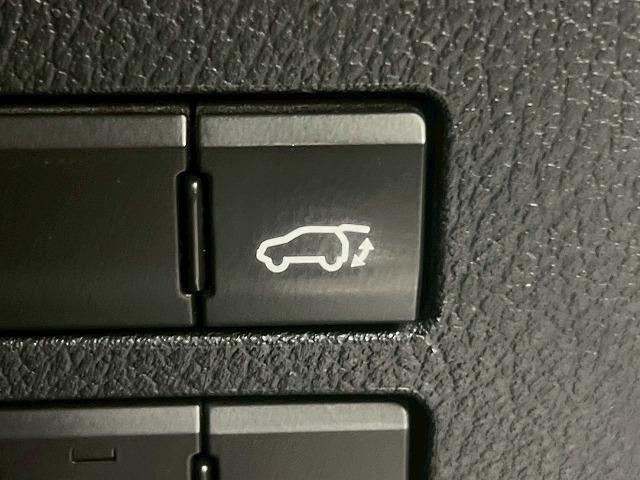 LEXUS NX NX300H F SPORT