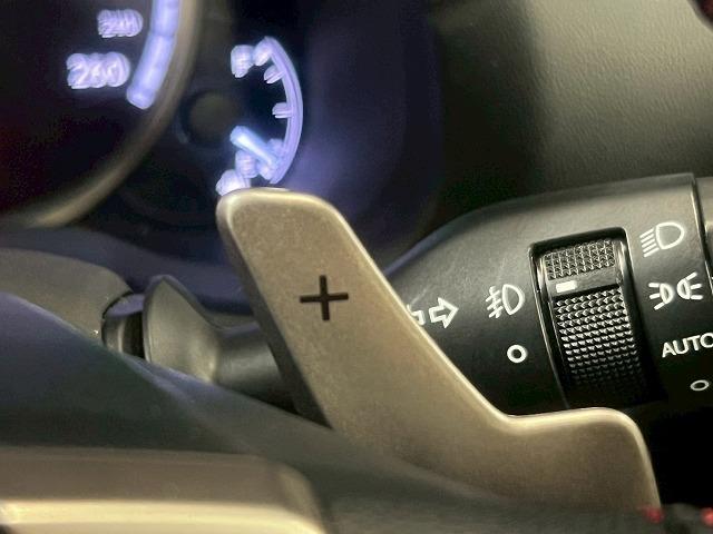 LEXUS NX NX300H F SPORT