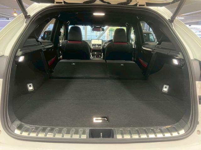 LEXUS NX NX300H F SPORT