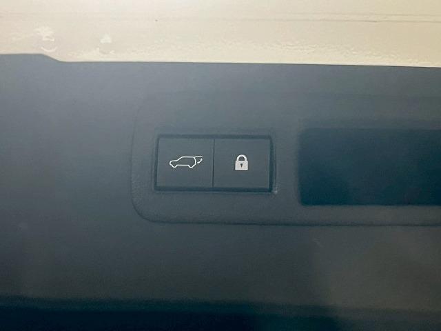 LEXUS NX NX300H F SPORT