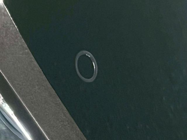 LEXUS CT CT200H F SPORT