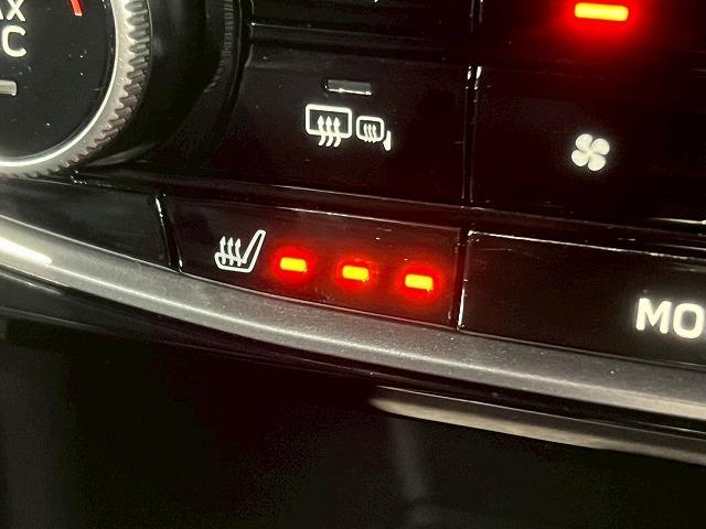 SUBARU FORESTER ADVANCE
